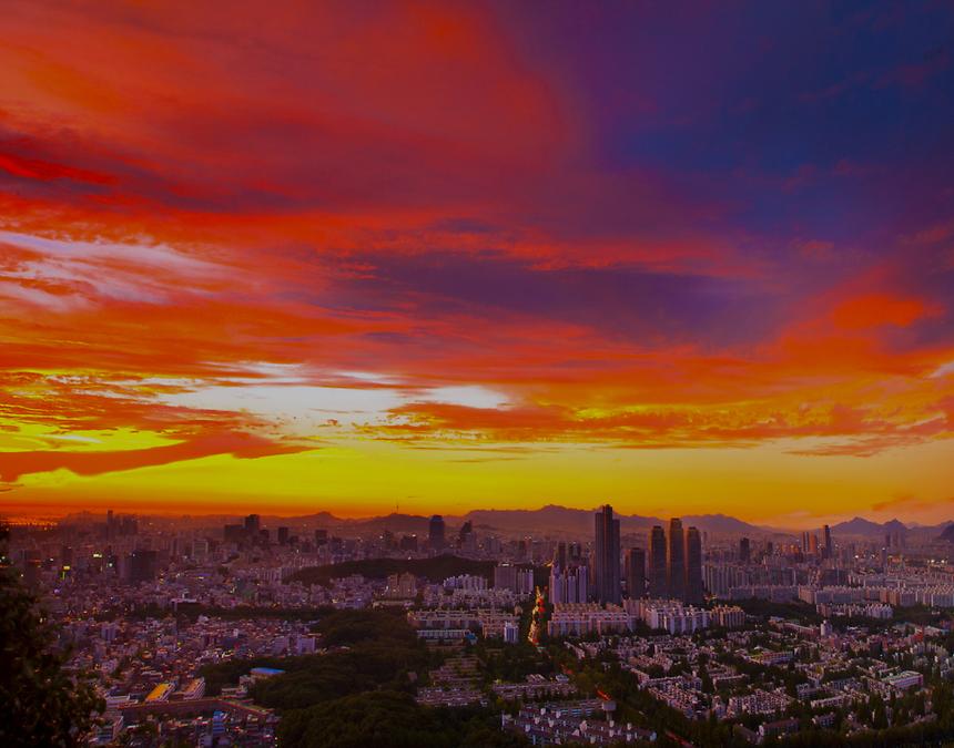 2016 강남구 사진공모전 출품작 - 7