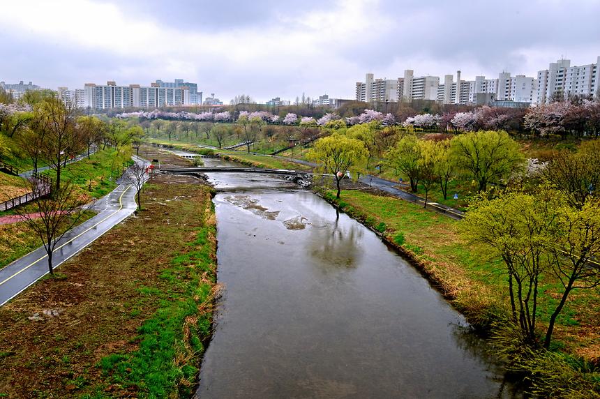2013년 강남구 사진공모전(양재천) - 3