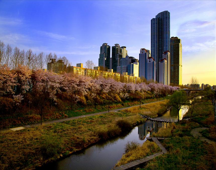 2015년 강남구 사진공모전(양재천 봄, 여름) - 3