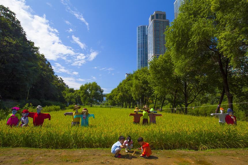 2016 강남구 사진공모전(양재천) - 2