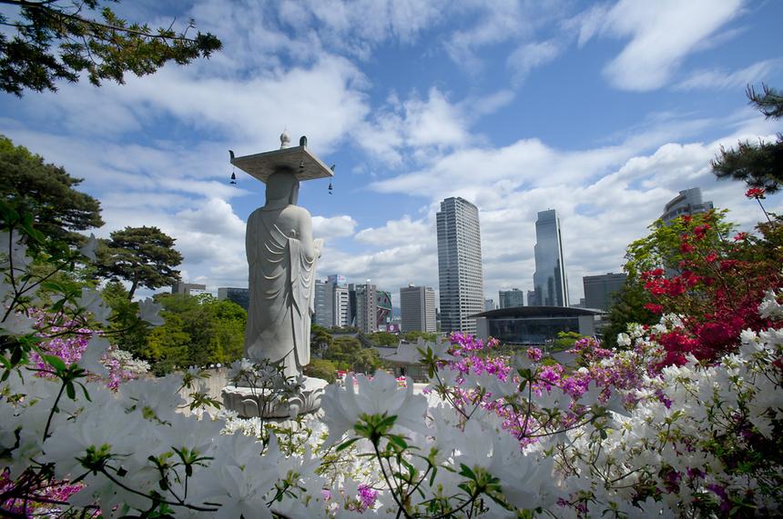 2014년 강남구 사진공모전(봉은사, 선정릉) - 1
