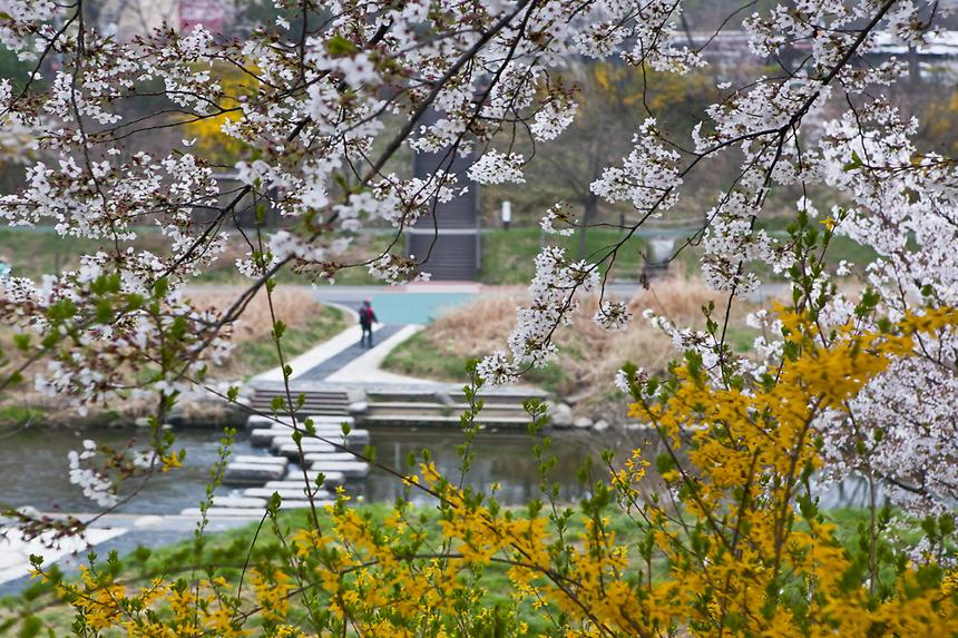 2016 강남구 사진공모전(양재천) - 9