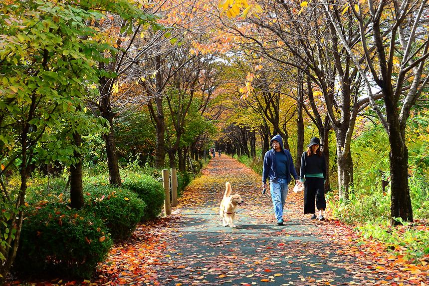 2016 강남구 사진공모전(양재천) - 4