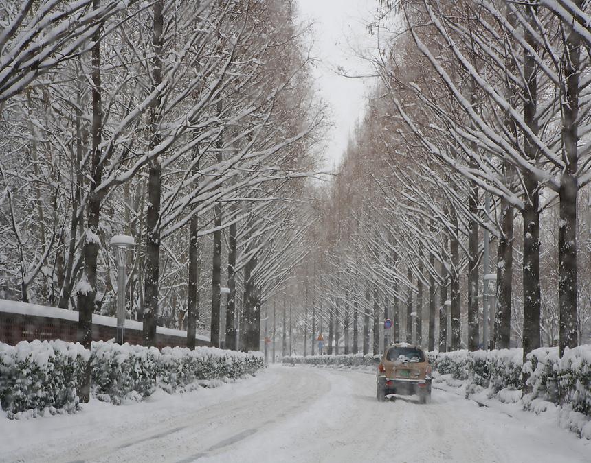 2015년 강남구 사진공모전(양재천 가을, 겨울) - 7