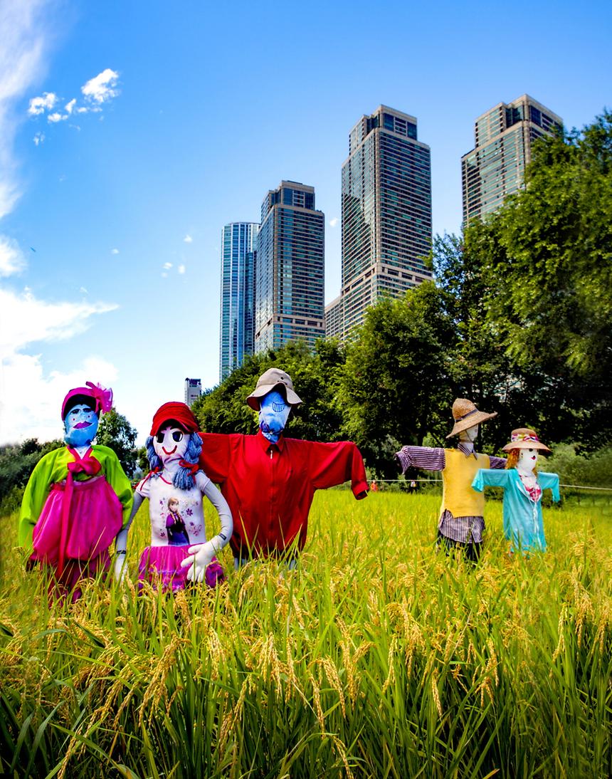 2016 강남구 사진공모전(양재천) - 1