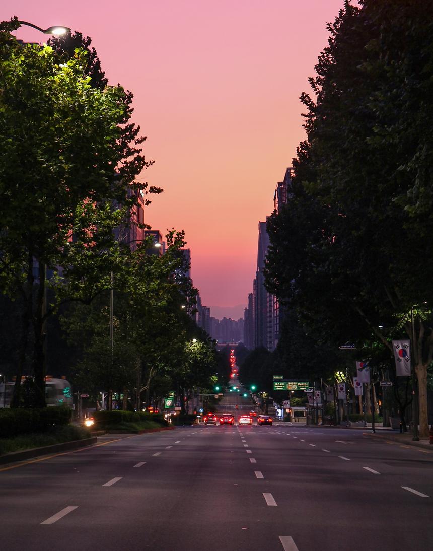 2017년 강남구 사진공모전 출품작 - 9