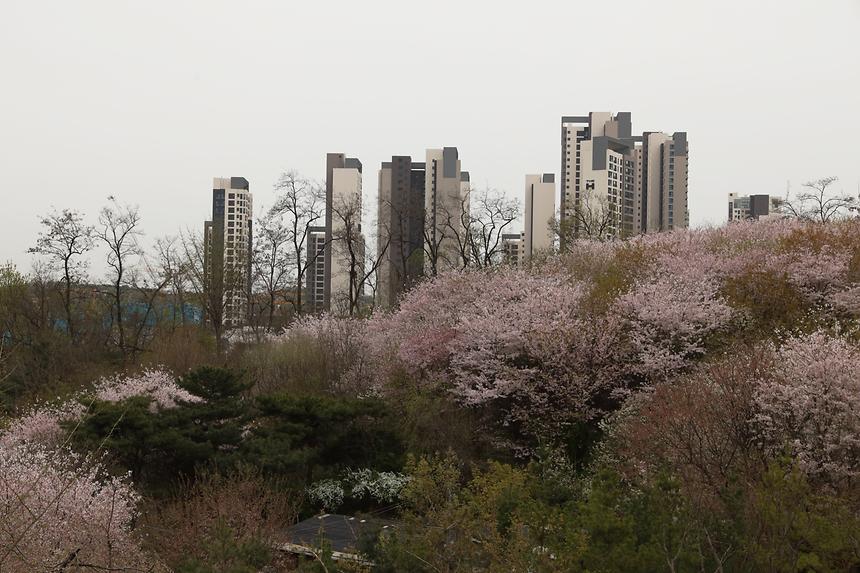 우리동네 사진전 - 개포2동 - 2