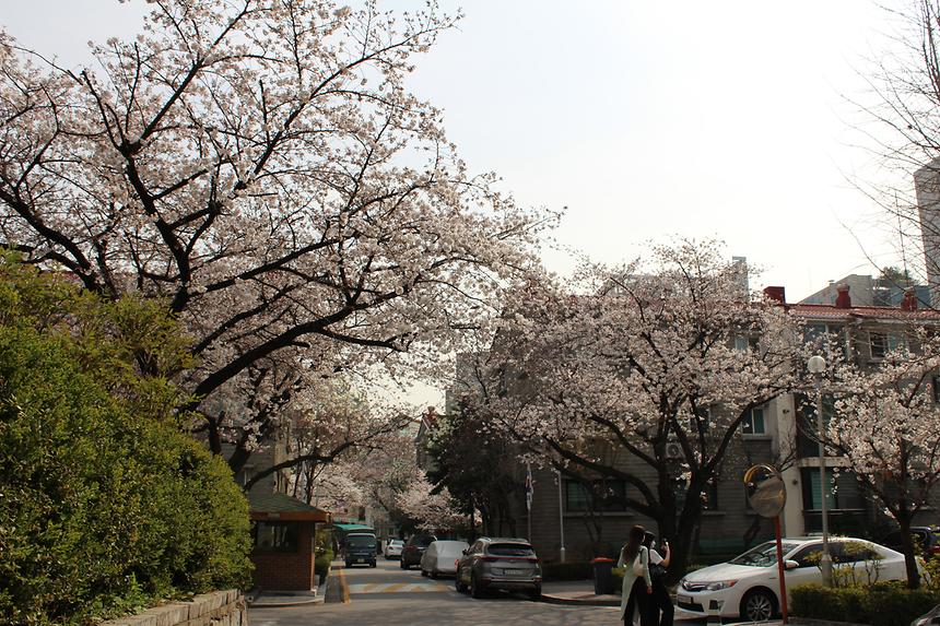우리동네 사진전 - 신사동 - 6