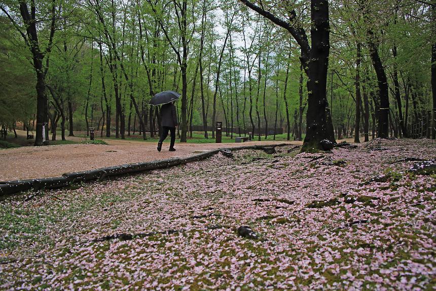 우리동네 사진전 - 삼성2동 - 13