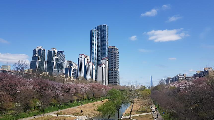 우리동네 사진전 - 도곡2동 - 1