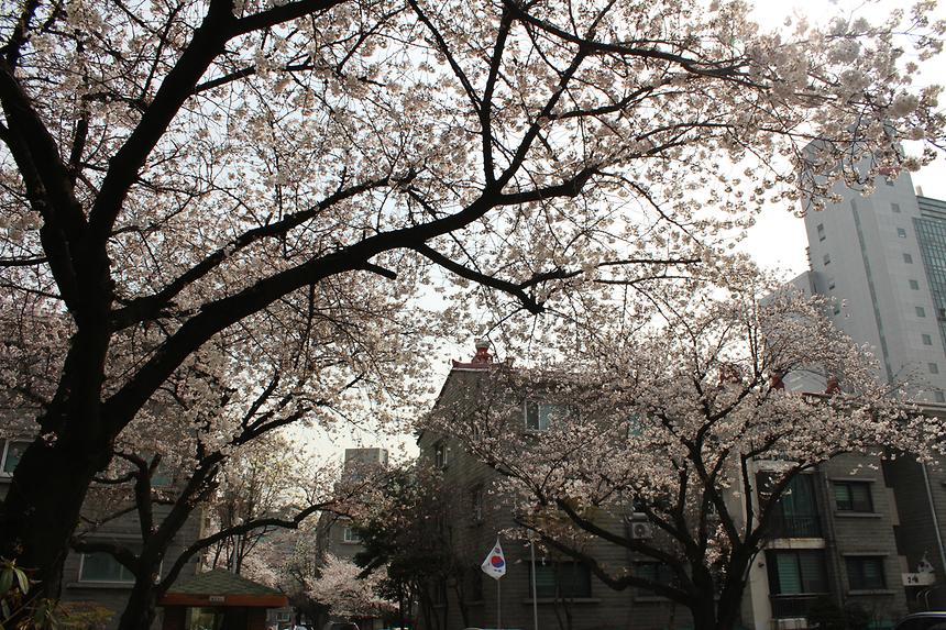 우리동네 사진전 - 신사동 - 5
