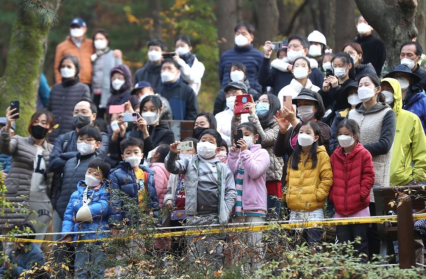 흥겨운 놀이마당 ‘일원본동 한마당 축제’ - 7