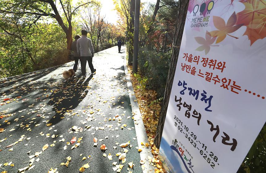양재천에서 가을의 정취와 낭만을... - 1