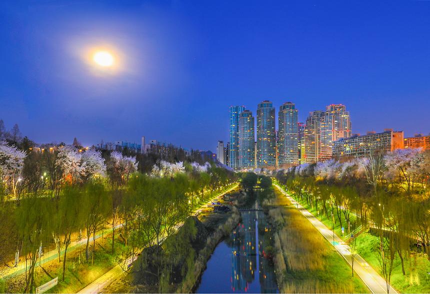 제16회 강남구 문화체육 관광 사진전(특선) - 5