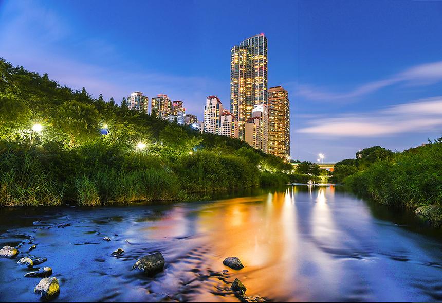 제16회 강남구 문화체육 관광 사진전(가작) - 1