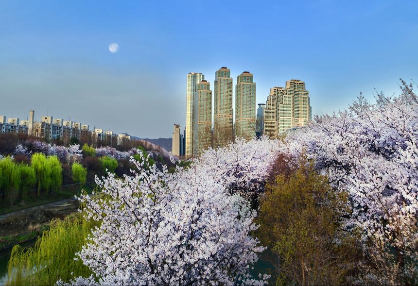 제16회 강남구 문화체육 관광 사진전(가작) - 4