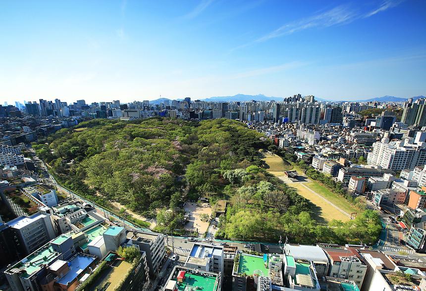 제16회 강남구 문화체육 관광 사진전(입선) - 4