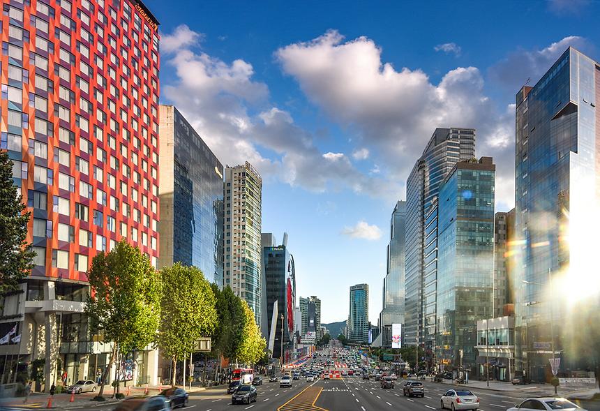 제16회 강남구 문화체육 관광 사진전(입선) - 2