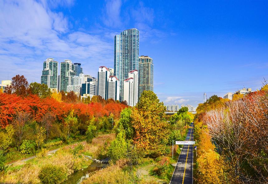 제16회 강남구 문화체육 관광 사진전(입선)  - 6