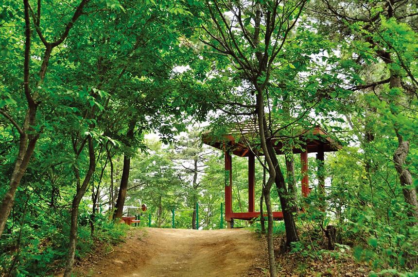스마트 강남17길 ‘도곡치유숲길’ - 1