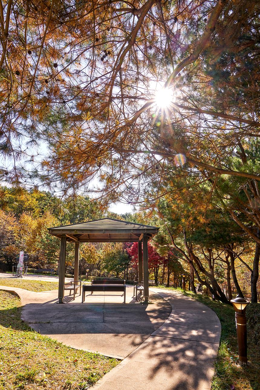 강남공원-해찬솔공원 - 5