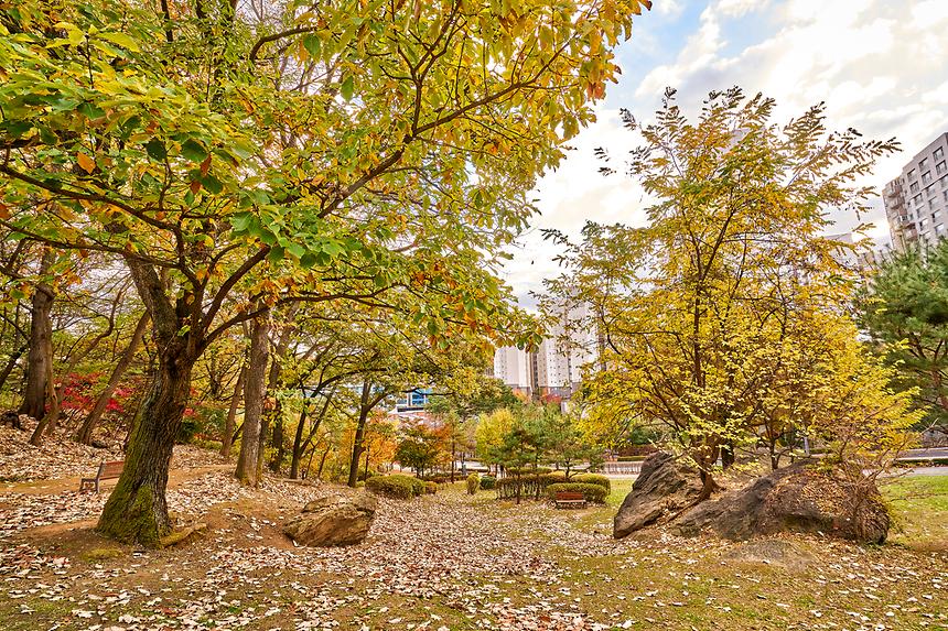 강남공원-못골위공원 - 3