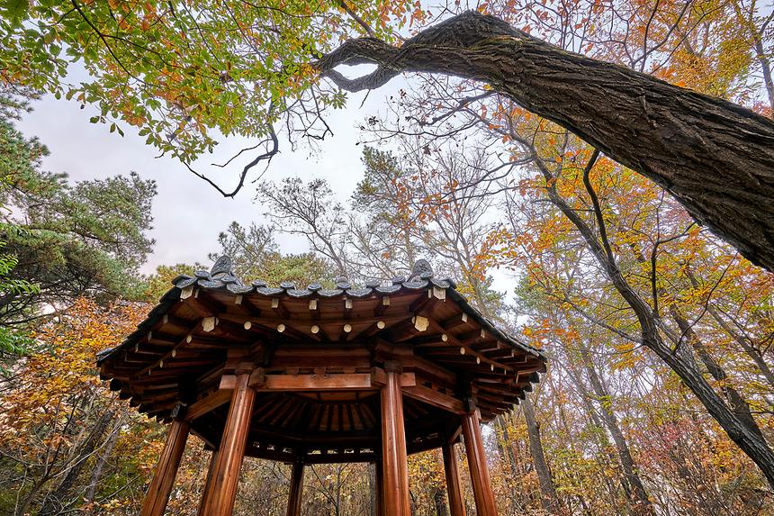 강남공원-숲자락공원 - 5