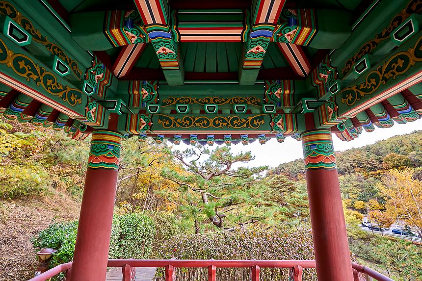 강남공원-세천공원 - 5
