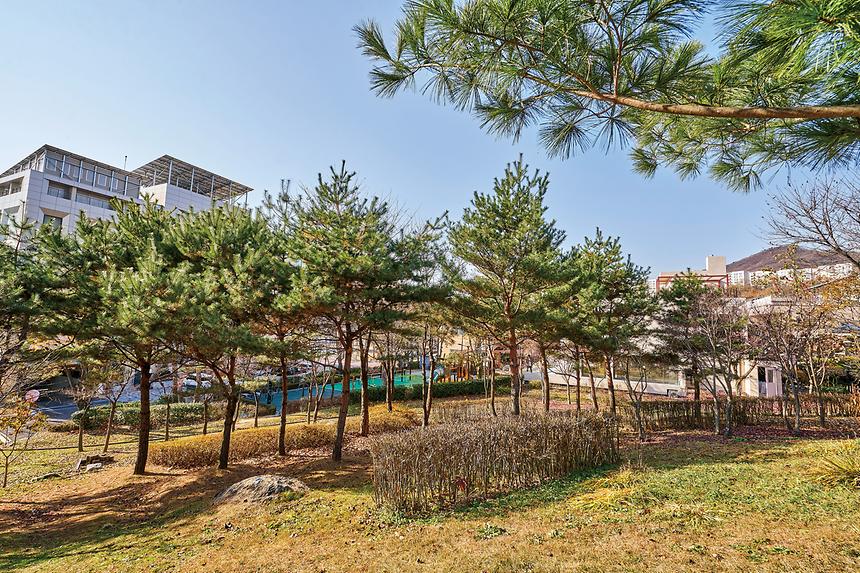 강남공원-못골공원 - 1