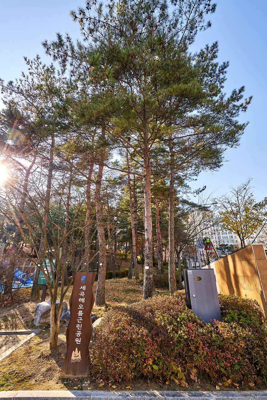 강남공원-세곡해오름공원 - 6