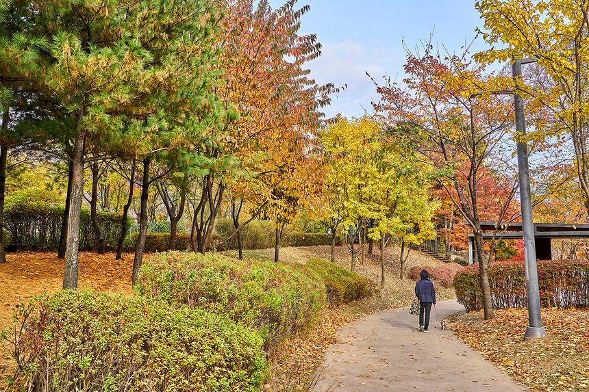 강남공원-세천공원 - 6