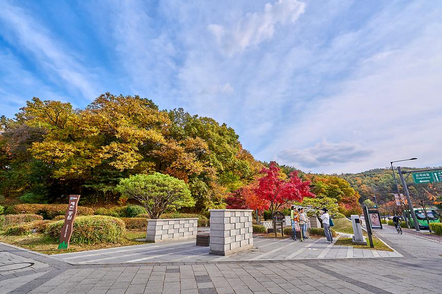 강남공원-세천공원 - 1
