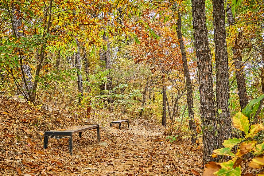 강남공원-세천공원 - 3