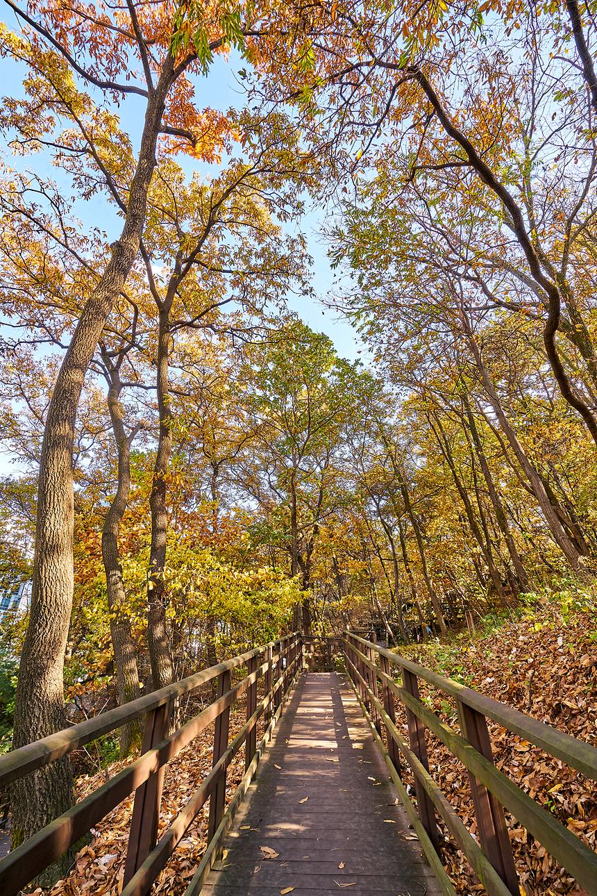 강남공원-안개공원 - 3