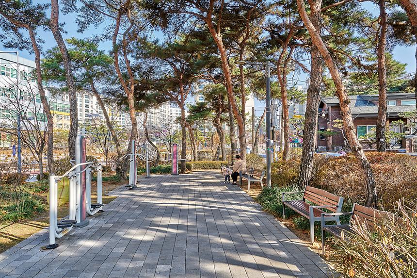 강남공원-솔밭소공원 - 1