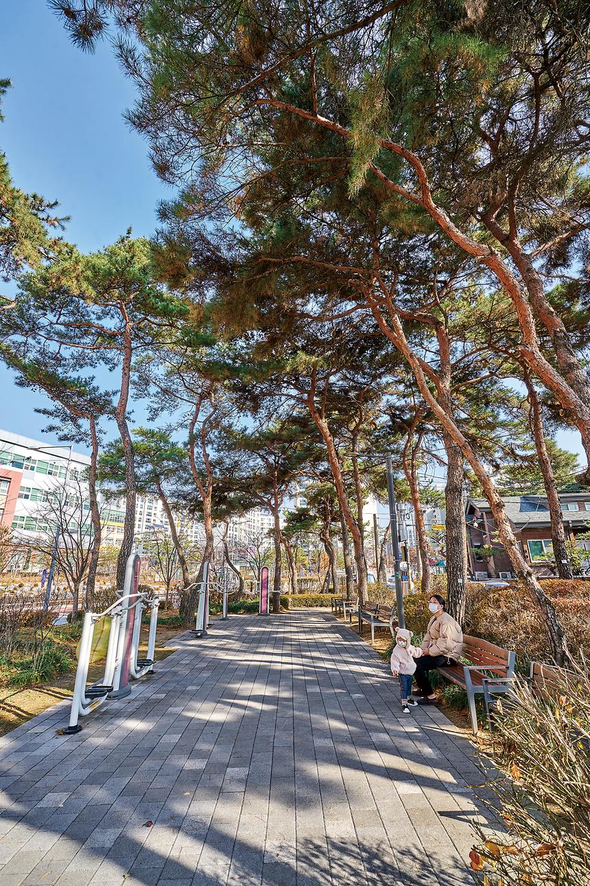강남공원-솔밭소공원 - 2