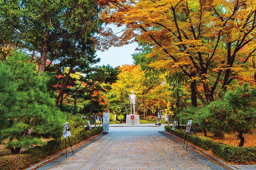 강남관광–압구정 - 1