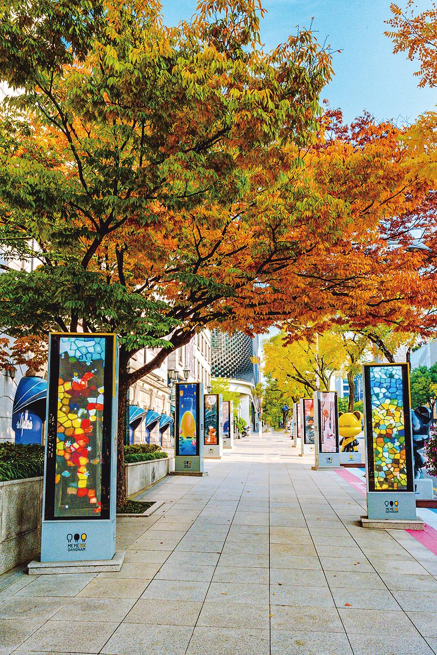 강남관광–청담 - 3