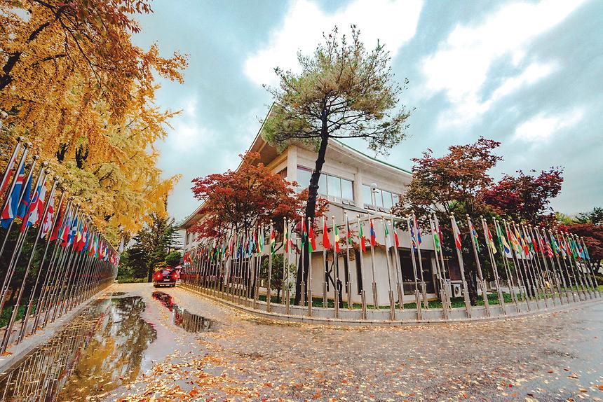 강남관광–역삼&논현 - 2