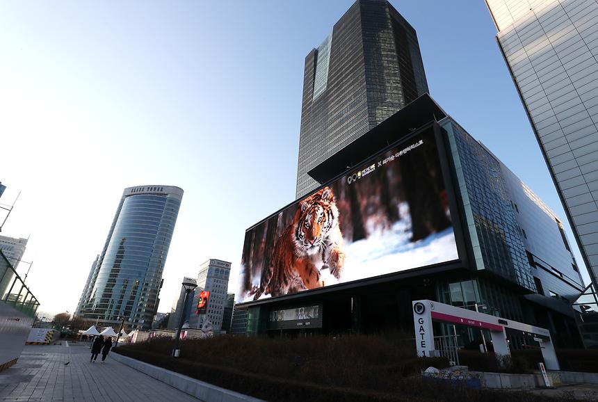 임인년 맞아 코엑스 대형전광판에 백두산호랑이 영상 상영 - 2