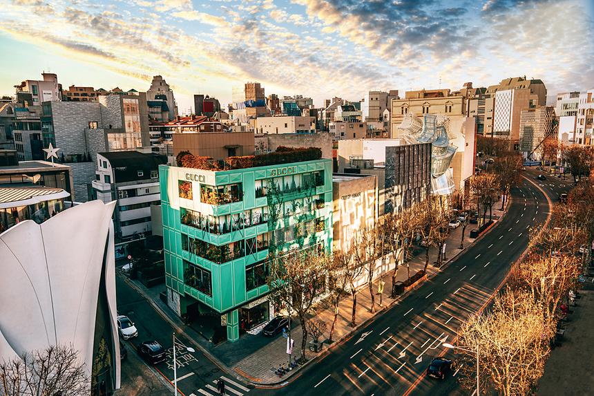강남관광–청담 - 1