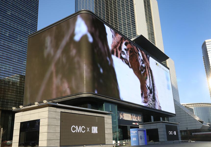 임인년 맞아 코엑스 대형전광판에 백두산호랑이 영상 상영 - 4