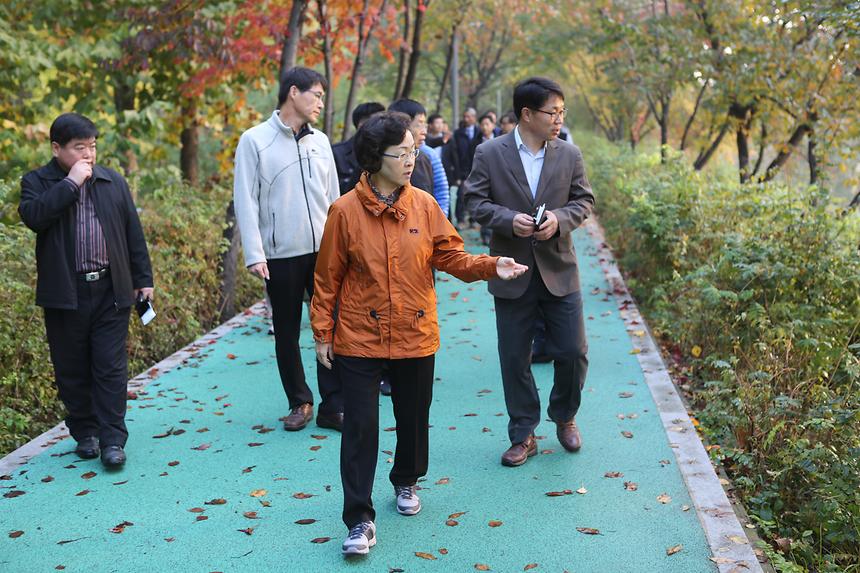 양재천 순찰 - 2