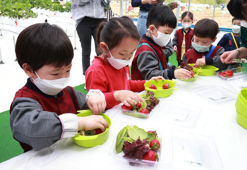 ‘강남구 스마트팜’ - 2