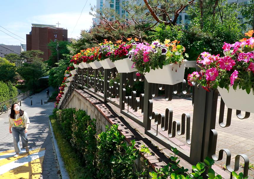 꽃의 거리 ‘강남 휴(休)로드’ - 6