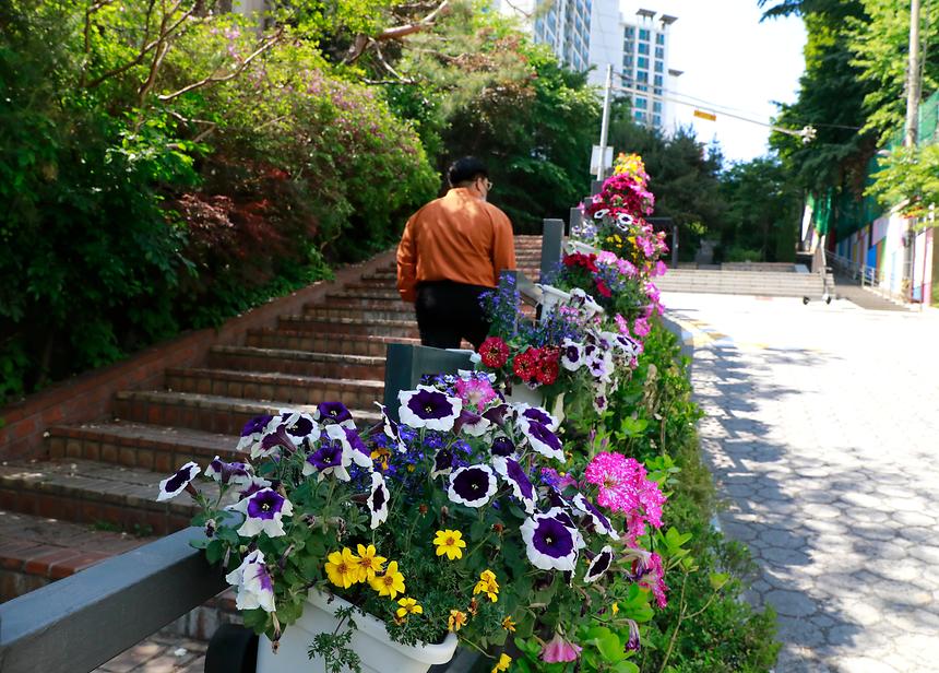 꽃의 거리 ‘강남 휴(休)로드’ - 2