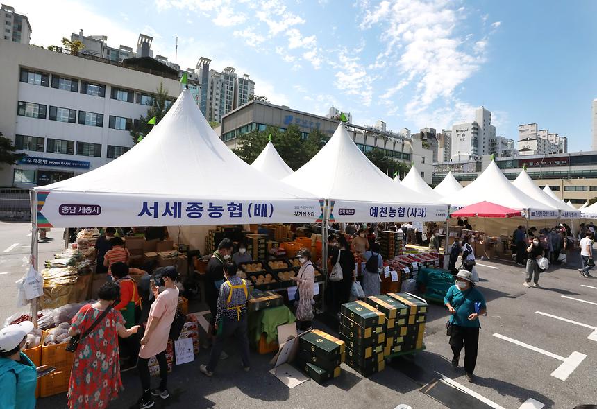 ‘추석맞이 농축수산물 직거래 장터’ 개장 - 3