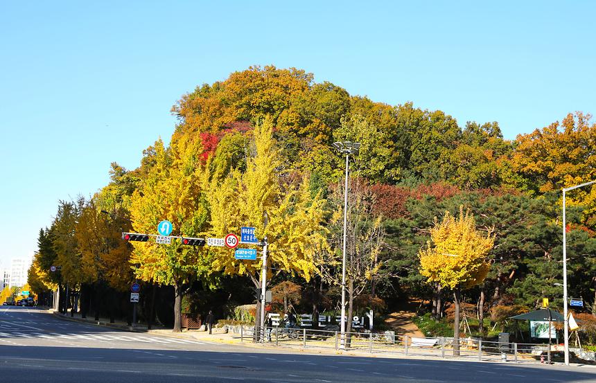 양재천 · 매봉산 가을 - 3