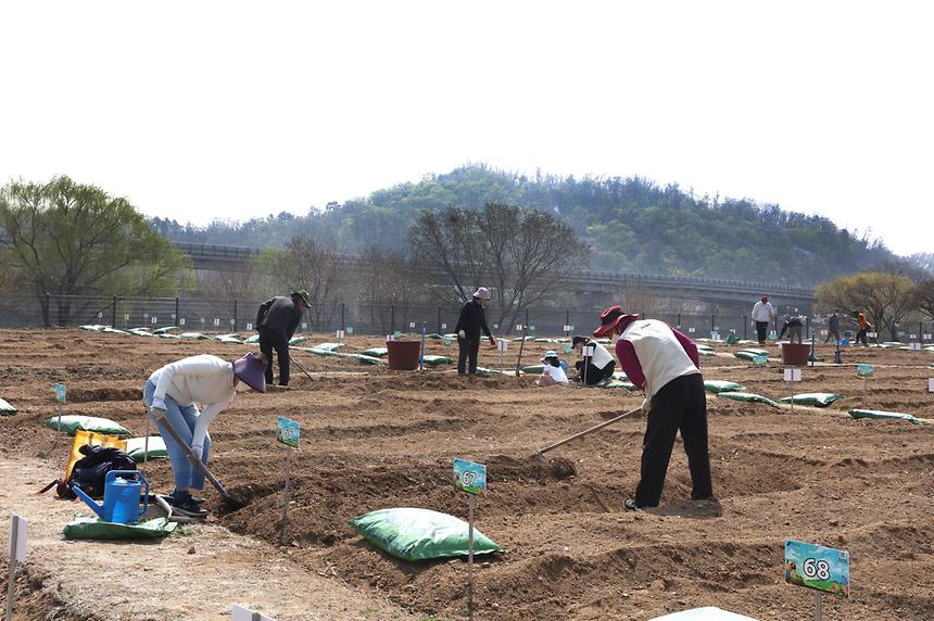 세곡천 힐링텃밭 개장 - 5