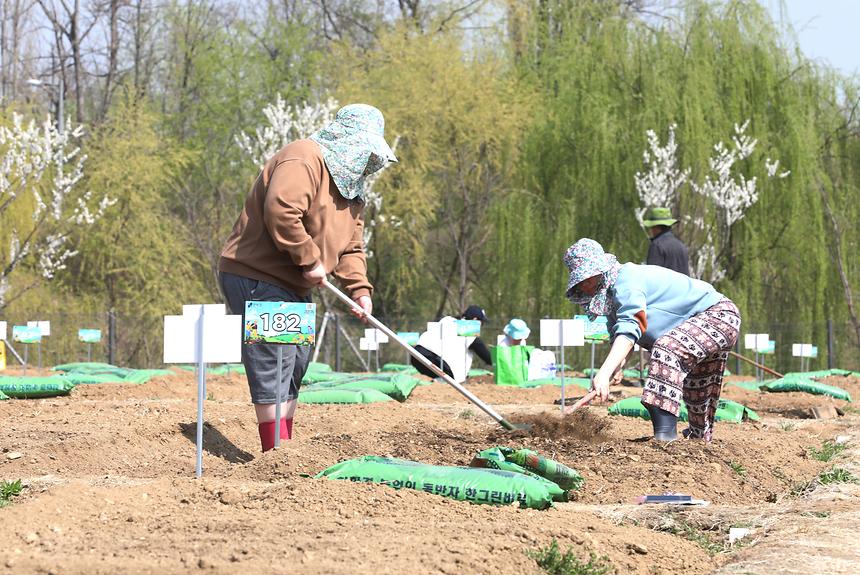 세곡천 힐링텃밭 개장 - 1